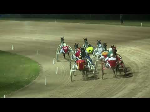 2017.11.11. 9. futam - ADAI DÍJ