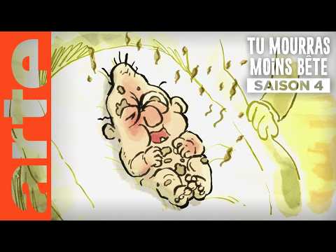 Beauty Baby | Tu mourras moins bête avec ARTE
