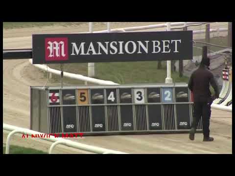 Alnwick Matt - BGBF British Bred Maiden Derby - Heat 2