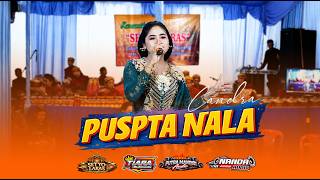 Download lagu PUSPITA NALA - CANDRA mp3