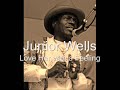 Junior Wells-Love Her with a Feeling