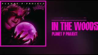 Download lagu Planet P Project - In the Woods mp3