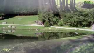 Cemento Armato - Le Orme - Album &quot;Collage&quot;... Anno... 1971...