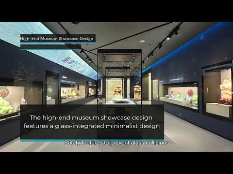 Latest Unique Shapes Custom Museum Display Cases Antiques Showcases