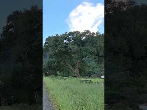 Serra de Jaraguá Goiás.