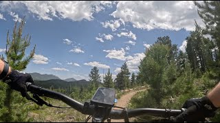 Re-Root - West Magnolia - Nederland - Colorado