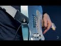 D'Addario & Co. | Dual-Lock Strap Locks