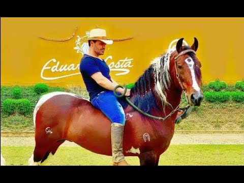 Eduardo Costa - Mangalarga Marchador 🎵 (Clipe Na Fazenda)