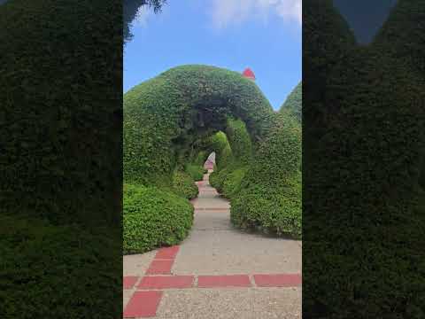 Zarcero,  Alajuela. Costa Rica.8