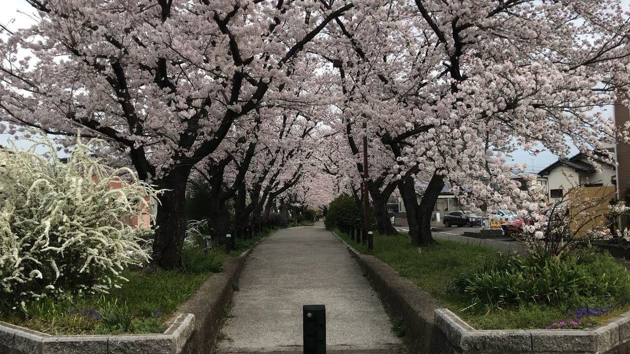Immersive street-level walking tour through Kasugai Central Park, Japan, showcasing authentic urban landscapes, local architecture, and the vibrant atmosphere of the city's neighborhoods
