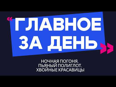 Главное за день: ночная погоня, пьяный полиглот и хвойные красавицы