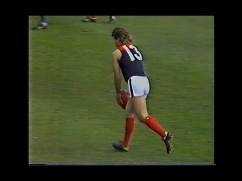 1991 - Melbourne v North Melbourne - Sports World - Round 20 - MCG - AFL - Allen Jakovich 11 goals