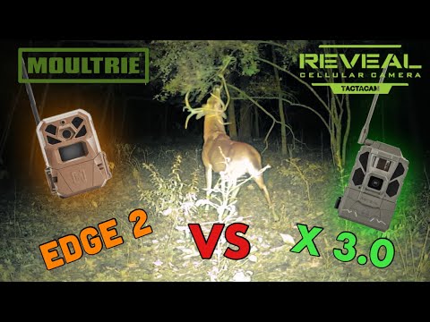 The Two Most Popular Cell Cameras? Tactacam Reveal X 3.0 vs Moultrie Edge 2 #hunting #deer #archery
