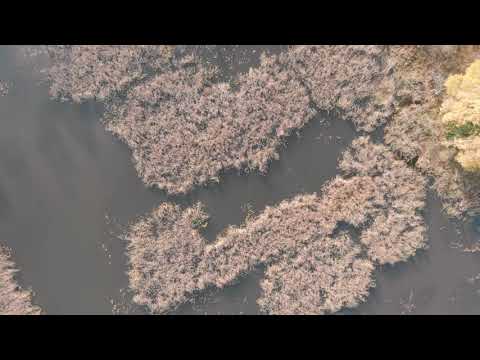 Mazury 1000 lakes aerial footage