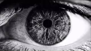 BESAME MUCHO -CONNIE EVINGSON