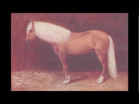 Stephen Nolan and Band play their songs... Clowns (snippet)