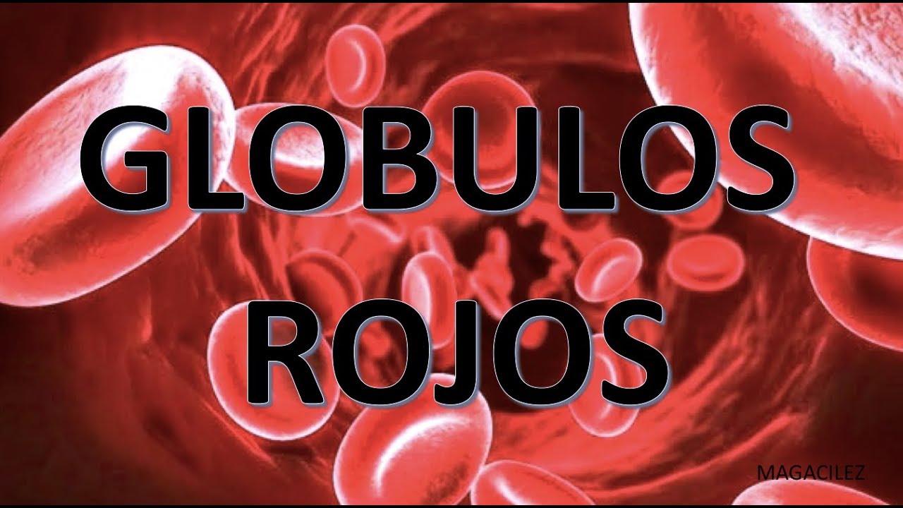 GLOBULOS ROJOS