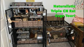 Naturalistic Triple Critter Nation Rat Cage Tour