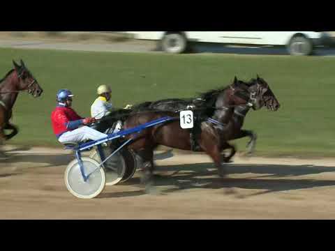 2017.10.14. 1. futam - BAJNOK S. DÍJ I. RÉSZ