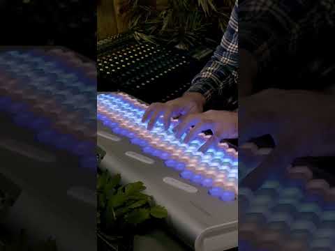 #shorts 41 notes in an octave gets many intervals super close to Just Intonation