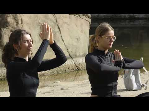 Yoga im Elefantengehege am 23. August 2026, gemeinsam mit den Stadtwerken Münster und dem Allwetterzoo Münster