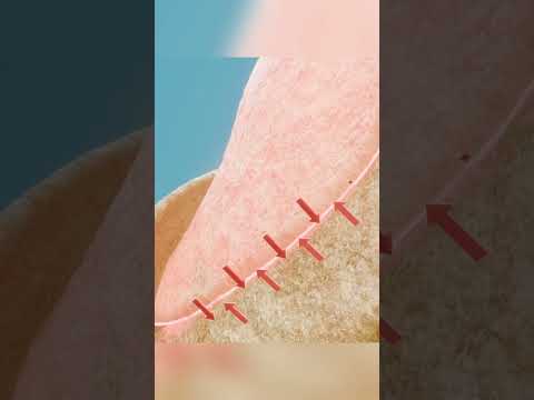 Как сложить все чипсы чтобы они не упали @zackdfilms