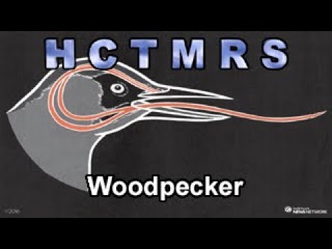 How Creationism Taught Me Real Science 90 Woodpecker