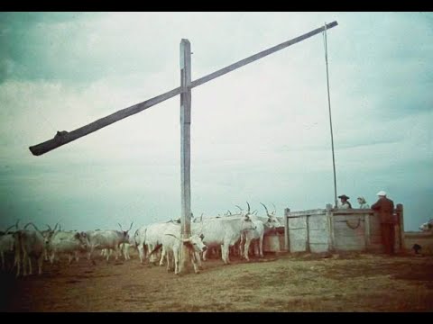 Lenn a délibábos Hortobágyon (egyveleg) - Meteor Együttes