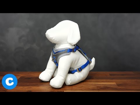 Kurgo Dog Harnesses