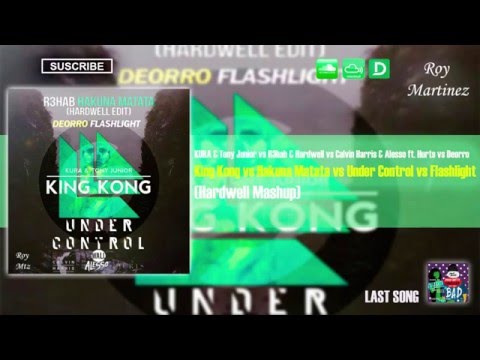 King Kong vs Hakuna Matata vs Under Control vs Flashlight (Hardwell Mashup)
