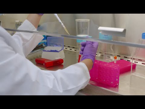 Tissue Culture Series #1: How to Thaw Cells with High Efficiency