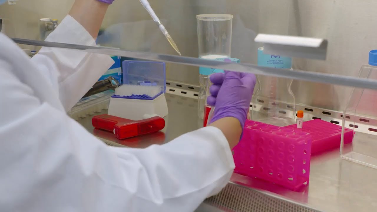 Tissue Culture Series #1: How to Thaw Cells with High Efficiency