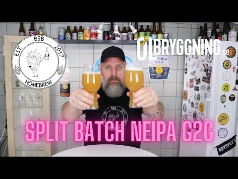 #65 Split batch Neipa G2G  (London Fog vlp066 vs Angel yeast CN36)