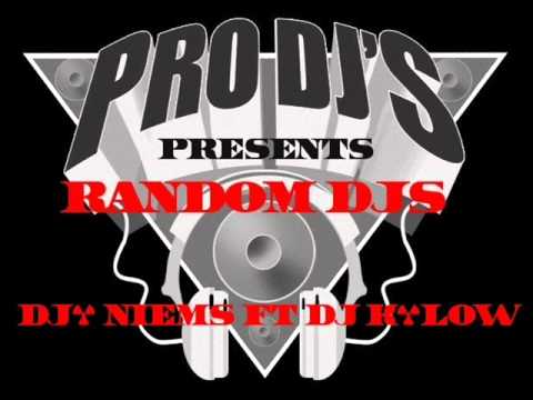 Pro DJ'S Prestents Random DJ's   DJ Niems Ft DJ K Low