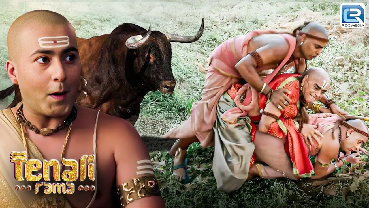 तथाचार्य की बासुरी सुन खेतों में भाग आया बैल  | Tenali Rama Season 2 | Latest Full Episode