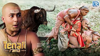 तथाचार्य की बासुरी सुन खेतों में भाग आया बैल  | Tenali Rama Season 2 | Latest Full Episode MQDEFAULT Thumbnail