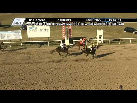 CARRERAS SINT FLORIDA 220603 c08 1° NANO DE OLLEROS