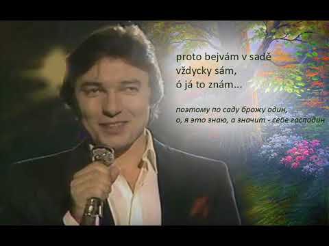 Karel Gott / Ptačí nářečí