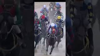 복연승공개된번호