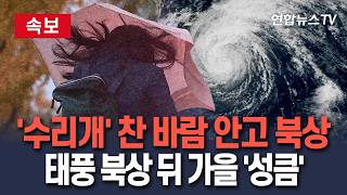 유튜브 썸네일