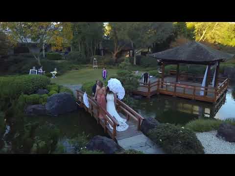 download lagu mp3 mp4 Flowers Gosford, download lagu Flowers Gosford gratis, unduh video klip Flowers Gosford