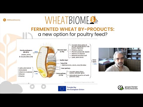 Fotograma del vídeo: Fermented wheat by-products: a new option for poultry feed?