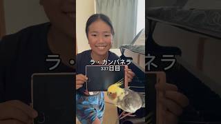 Download lagu ラ・カンパネラ337日目 #ピアニスト #ピアノ #ラカンパネラ #リスト #ピアノ男子 mp3 Download lagu ラ・カンパネラ337日目 #ピアニスト #ピアノ #ラカンパネラ #リスト #ピアノ男子 mp3
