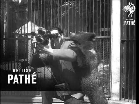Russian Zoo (1958)