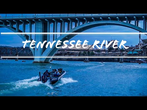 2021 Tennessee River Smallmouth Surprise