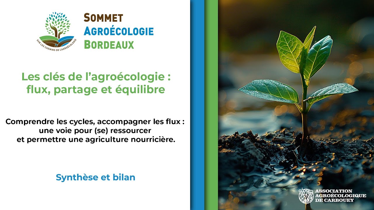 08   Synthèse et bilan