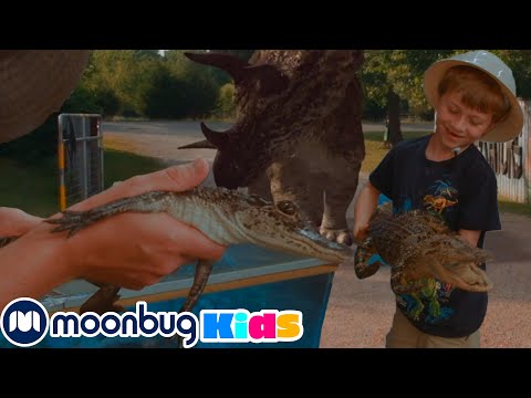Park Ranger LB and Aron Adventure to a Gator Park | Dinosaur Videos For Kids | Moonbug Kids
