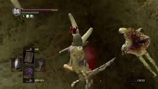 [初見]DARK SOIULS REMASTERED Part7[実況]