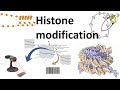 Histone modifications (Introduction)