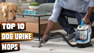 Best Mops For Dog Urine In 2026  - Top 10 Mops For Dog Urines Review